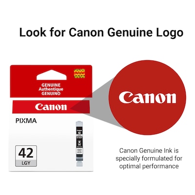 Canon 42 Light Gray Standard Yield Ink Cartridge   (6391B002)