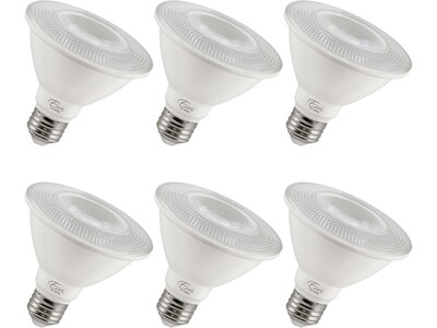 Viribright 11-Watt Cool White LED Floodlight Bulb, 6/Box (450158-ES)