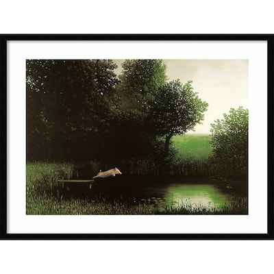 Amanti Art Diving Pig by Michael Sowa Wood Framed Wall Art Print, 33" x 25" (A42675524653)