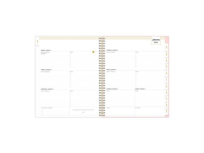 2024 Blue Sky Day Designer Coming Up Roses Blush 8.5 x 11 Weekly & Monthly Planner, Multicolor (14