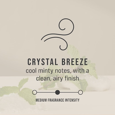 Rubbermaid Commercial CirculAir 90 Air Freshener Solid, Crystal Breeze, 6/Carton (2231717)