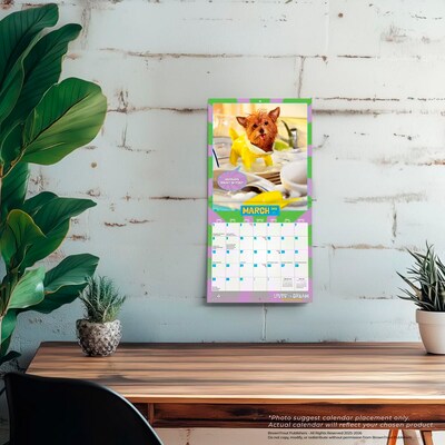 2026 BrownTrout Avanti Livin' the Dream 7" x 7" Monthly Wall Calendar (9798330707966)