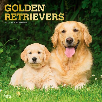 2023 BrownTrout Golden Retrievers 12 x 12 Monthly Wall Calendar (9781975449247)