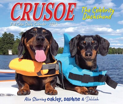 2025 Willow Creek Crusoe the Celebrity Dachshund 6" x 5.5" Day-to-Day Calendar, Multicolor (40768)
