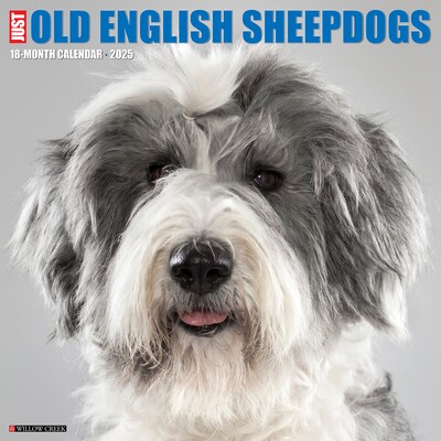 2025 Willow Creek Just Old English Sheepdogs 12 x 12 Monthly Wall Calendar (44278)