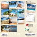 2024 BrownTrout Beaches 7 x 14 Monthly Wall Calendar (9781975457846)