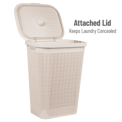 Mind Reader 15.85-Gallon Hamper with Lid, Plastic, Ivory (60FABHAMP-IVO)