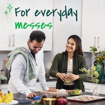 Scotch-Brite Non-Scratch Sponge with Scrubber, Blue, 6 Sponges/Pack (526-5)