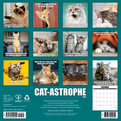 2027 Willow Creek Cat-astrophe 12 x 12 Monthly Wall Calendar, Assorted Colors (59555)