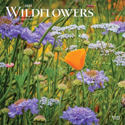 2023 BrownTrout Wildflowers 12 x 12 Monthly Wall Calendar (9781975456474)