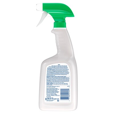 CloroxPro Clorox EcoClean Glass Cleaner, 32 Oz. (60277)