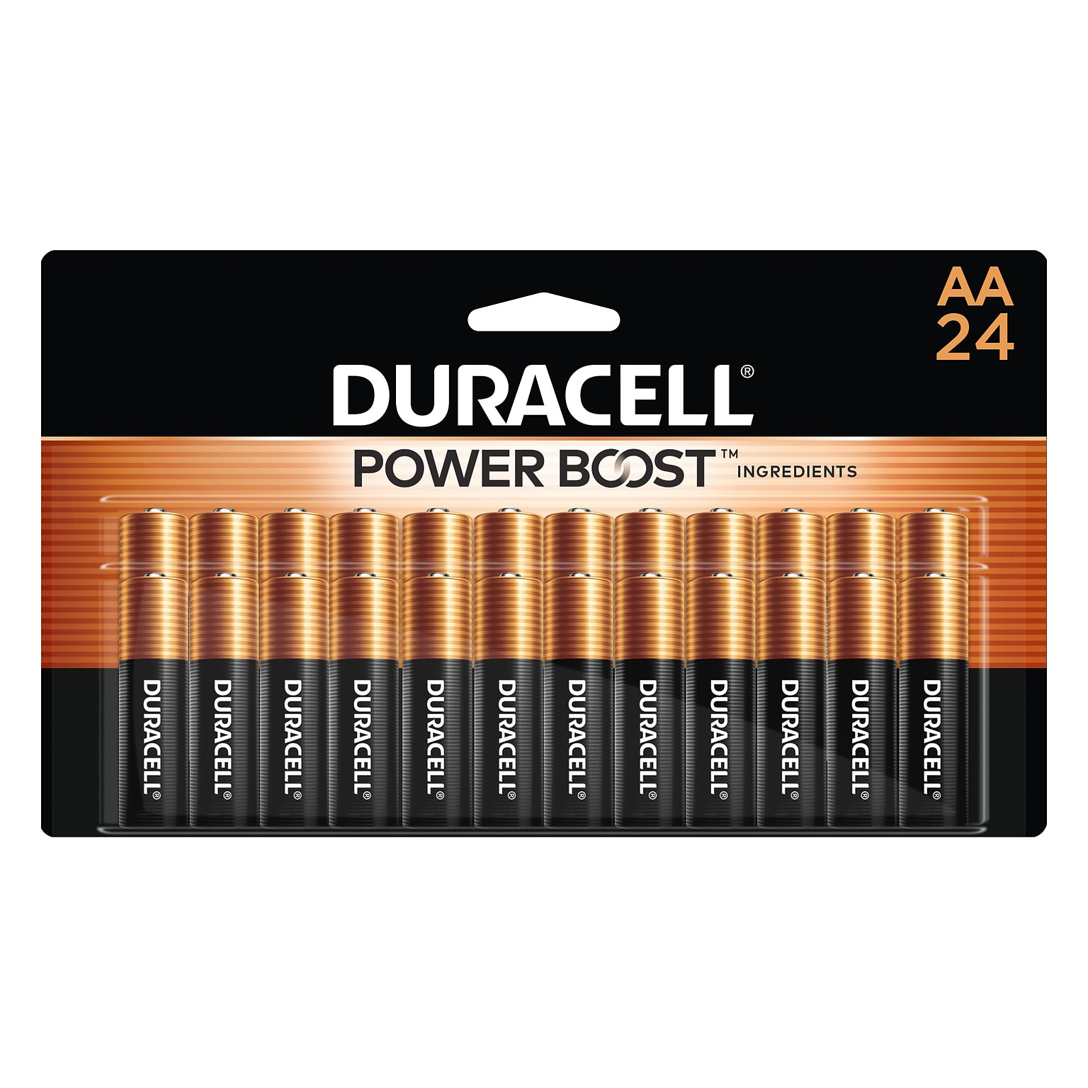 Duracell Coppertop AA Alkaline Battery, 24/Pack (MN1500B240001)