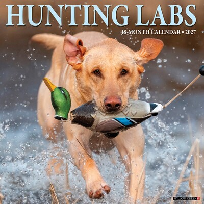2027 Willow Creek Hunting Labs  12 x 12 Monthly Wall Calendar (60742)