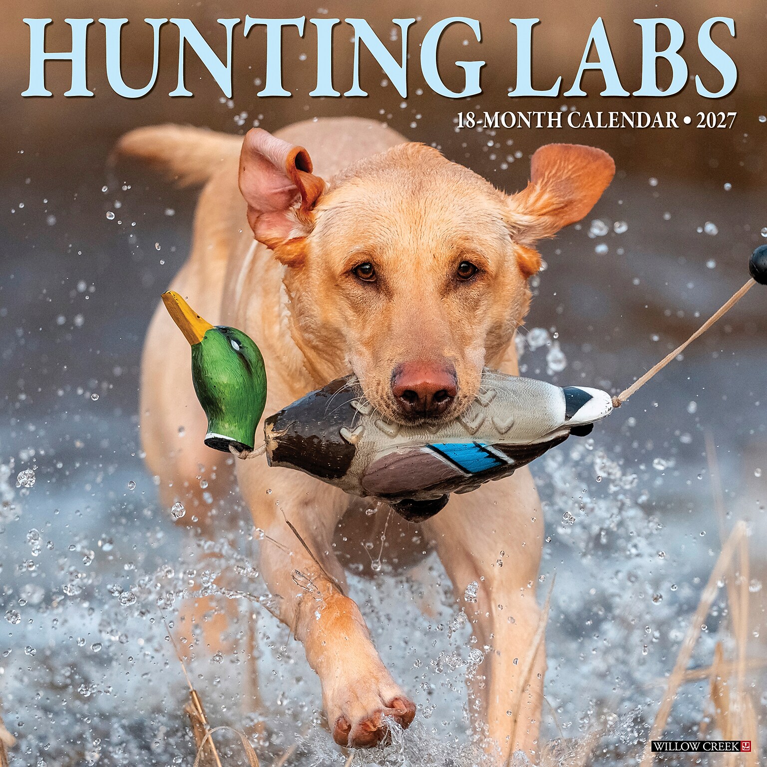 2027 Willow Creek Hunting Labs  12 x 12 Monthly Wall Calendar (60742)