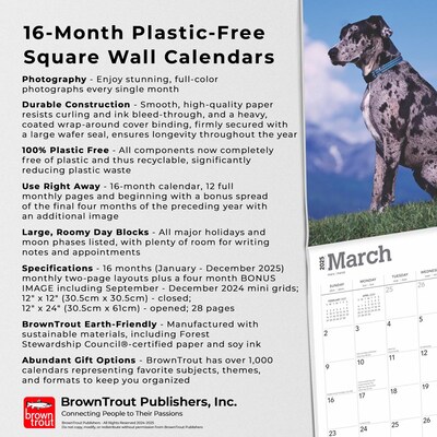 2025 BrownTrout Great Danes 12" x 12" Monthly Square Wall Calendar (9781975477103)