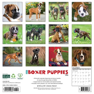 2026 Willow Creek Boxer Puppies 12 x 12 Monthly Wall Calendar (50361)