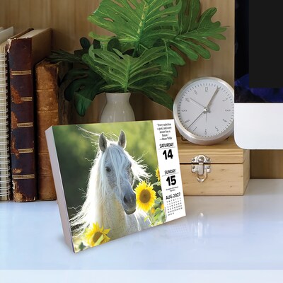 2027 Willow Creek What Horses Teach Us 5.4" x 6.2" Day-to-Day Calendar (63842)