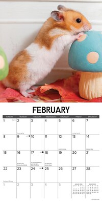 2026 Willow Creek Hamsters 12" x 12" Monthly Wall Calendar (57025)