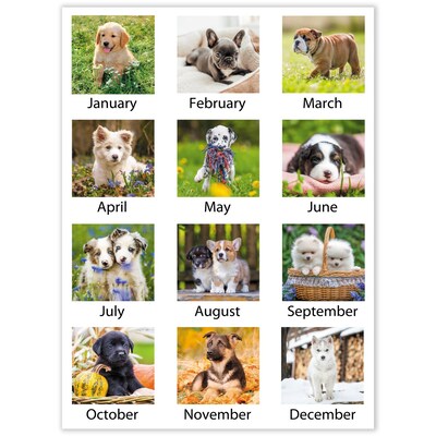 2026 AT-A-GLANCE Puppies 21.75 x 17 Monthly Desk Pad Calendar (DMD166-32-26)