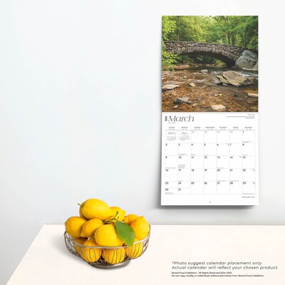 2025 BrownTrout Washington D.C. 12" x 12" Monthly Wall Calendar (9781975475888)