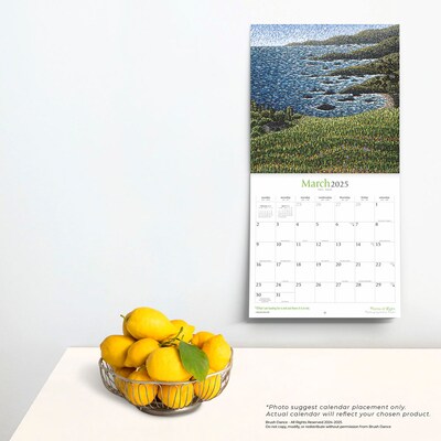 2025 Brush Dance Points of Light 12" x 24" Monthly Square Wall Calendar, (9781975481230)