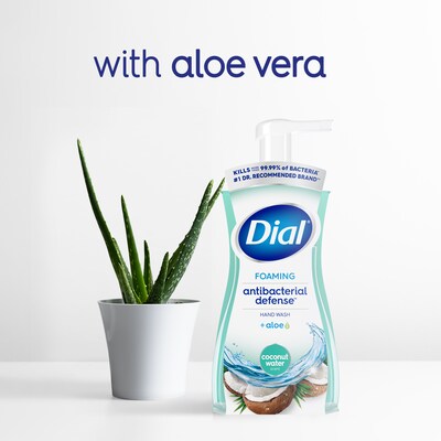 Dial Antibacterial Foaming Hand Soap, Coconut Water Scent, 8/Carton (017000347158)