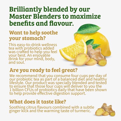 Twinings Probiotics+ Herbal Lemon & Ginger Tea, Keurig® K-Cup® Pods, 24/Box (F16930)