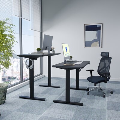 FlexiSpot E2 48''W Electric Adjustable Standing Desk, Black (E2B4824B)