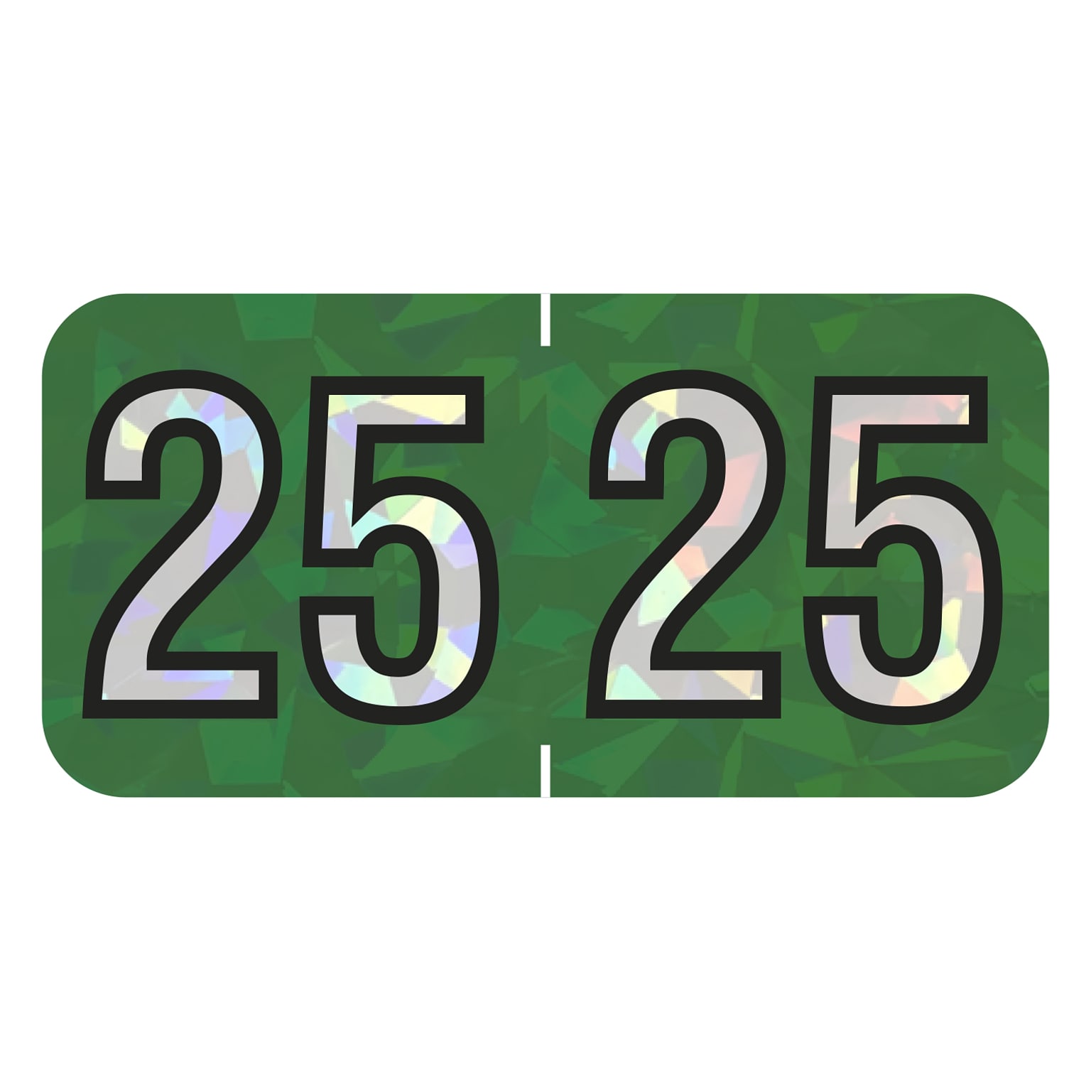 Medical Arts Press Holographic End-Tab Year Labels, 2025, Green, 500/Roll (0725HGN)