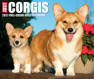 2027 Willow Creek Corgis 6.2" x 5.4" Daily Day-to-Day Calendar, Assorted Colors (63354)