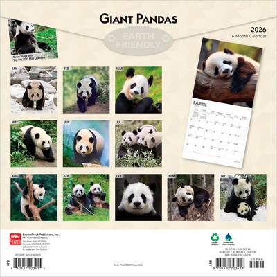 2026 BrownTrout Giant Pandas 12 x 12 Monthly Wall Calendar (9798330703418)