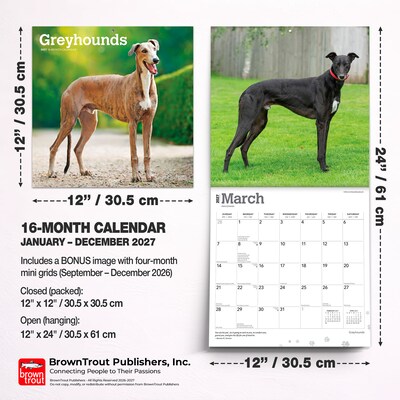 2027 BrownTrout Greyhounds 12" x 12" Monthly Wall Calendar (9798330712502)