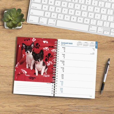 2025 BrownTrout Chihuahuas 6" x 7.75" Weekly Engagement Planner, Paper Cover, Multicolored (9781975480622)