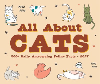 2027 Willow Creek All About Cats 6.2" x 5.4" Daily Day-to-Day Calendar, Assorted Colors (64948)