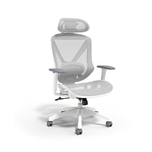 Staples FlexFit Dexley Ergonomic Mesh Swivel Task Chair, Gray (UN61365)