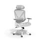 Staples FlexFit Dexley Ergonomic Mesh Swivel Task Chair, Gray (UN61365)