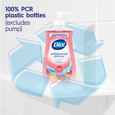 Dial Complete Antibacterial Liquid Hand Soap, Pomegranate Tangerine Scent (00017000209432)