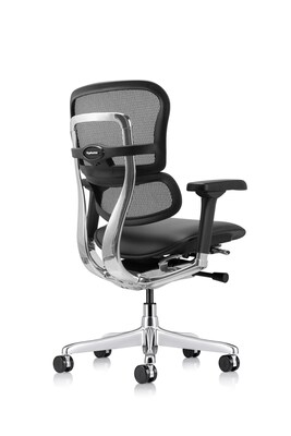 Eurotech Ergohuman Gen2 Mid Back Mesh Office Chair, Black (LEM6ERGLO-GEN2)
