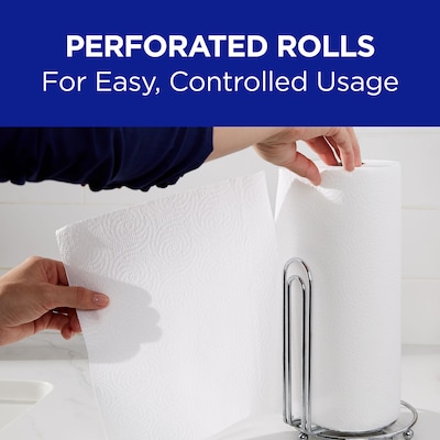 Sparkle Professional Series Paper Towels, 2-ply, 70 Sheets/Roll, 30 Rolls/Pack (2717201)