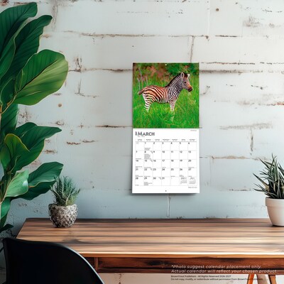 2027 BrownTrout Baby Animals 7" x 7" Monthly Wall Calendar, Assorted Colors (9798330709755)