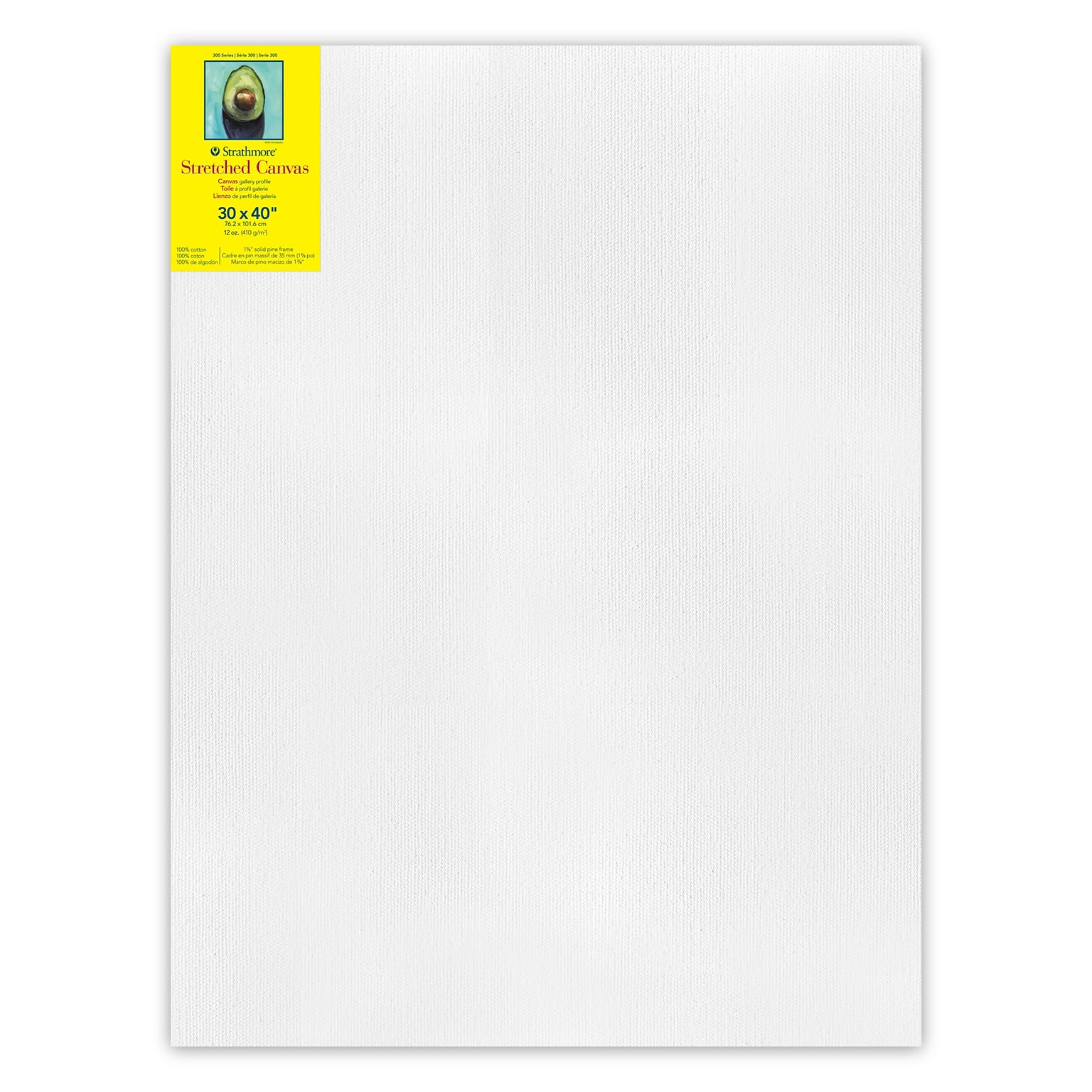 Strathmore 300 Series Primed Gallery Stretched Canvas, 30x40 inch (STT31430)
