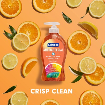 Softsoap Antibacterial Liquid Hand Soap, Crisp Clean Scent, 6/Carton (US03562)
