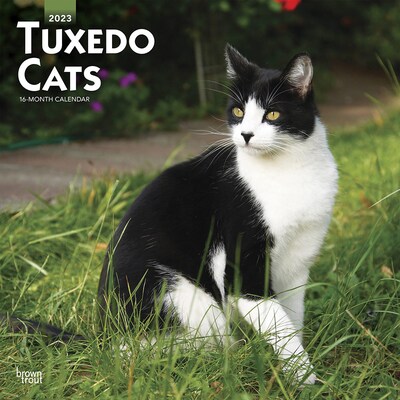 2023 BrownTrout Tuxedo Cats 12 x 12 Monthly Wall Calendar (9781975448974)