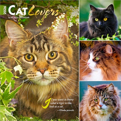 2026 BrownTrout Cat Lovers 12 x 12 Monthly Wall Calendar (9798330702787)
