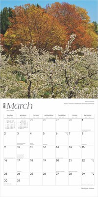 2025 BrownTrout Michigan Nature 12" x 12" Monthly Square Wall Calendar (9781975475260)
