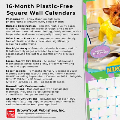 2026 BrownTrout Livin' the Dream 12" x 12" Monthly Wall Calendar (9798330701469)