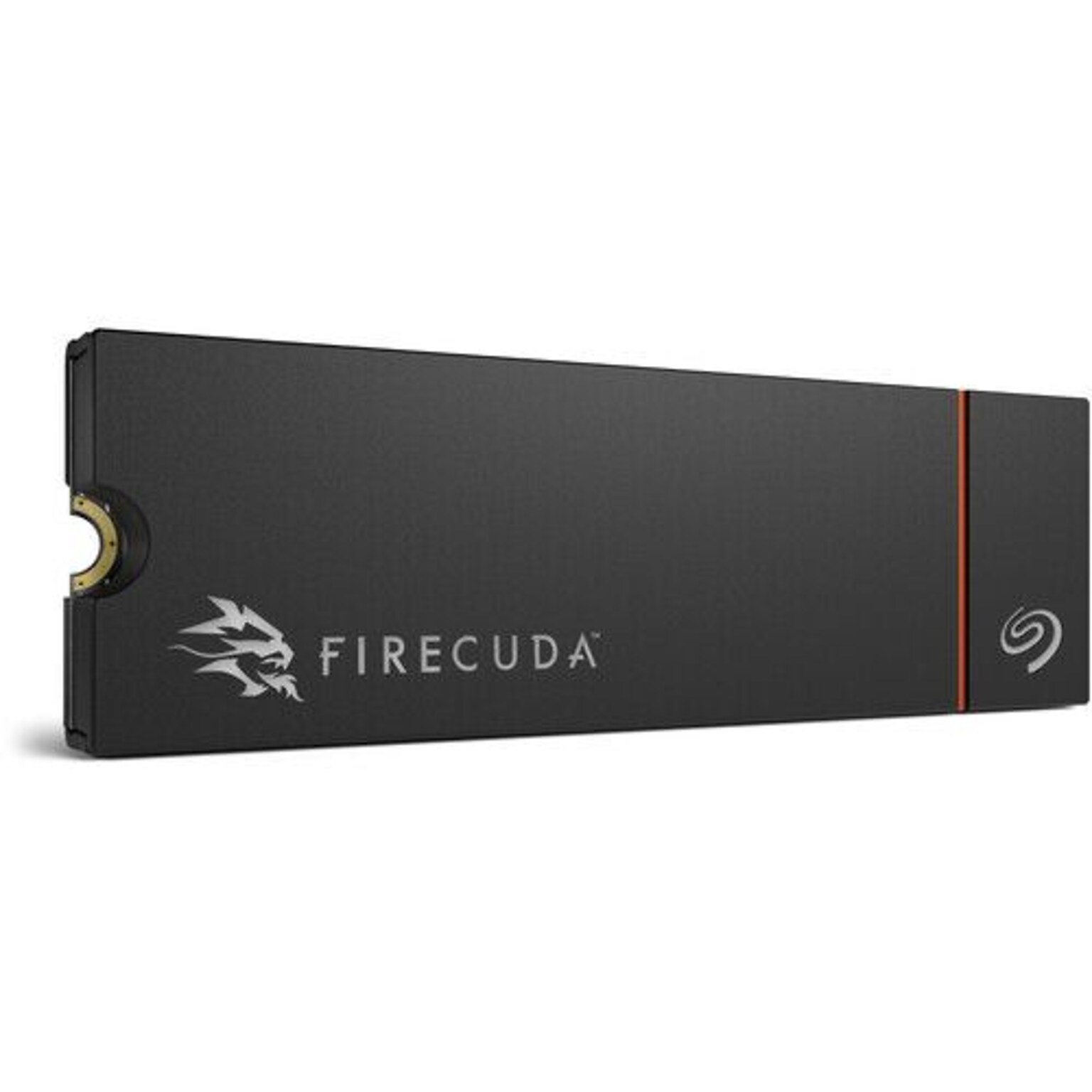 Seagate FireCuda 530R 1TB NVMe PCIe 4.0 M.2 SSD Internal Hard Drive (ZP1000GM3A073)