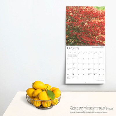 2025 BrownTrout Delaware Wild & Scenic 12" x 12" Monthly  Wall Calendar (9781975474775)