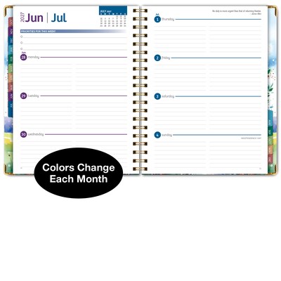 2027 Excello Brands 9" x 11" Weekly & Monthly Standard Planner, Paperboard Cover, Tree Seasons (FSHN-CY27-8511-20)