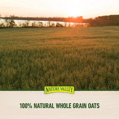 Nature Valley Sweet & Salty Peanut Nut Bar, 16 Bars/Box (GEM42067)